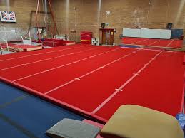 Image result for Rowan Gymnastics Club