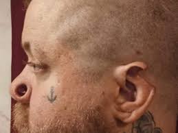 Image result for ear mod