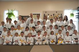 Image result for Everitt Karate Academy