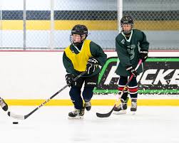 Image result for Fleet Hockey Club