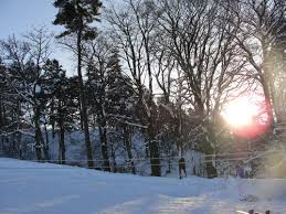 Image result for Skiing and Boarding at Allenheads