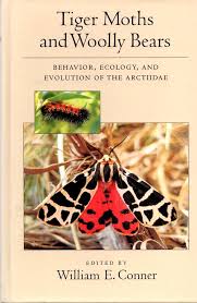 Attēlu rezultāti vaicājumam “Arctiidae”