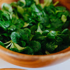 Image result for Feldsalat