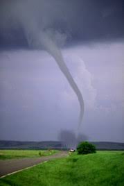 Image result for Tadcaster Tornadoes