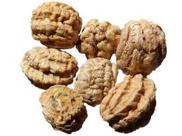 Attēlu rezultāti vaicājumam “Tropaeolum majus fruit”