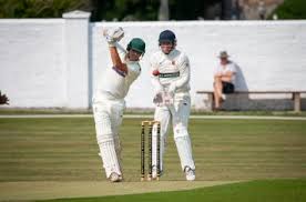 Image result for Bere Regis Cricket Club