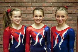 Image result for Haverfordwest Gymnastics Club