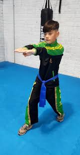 Image result for Salisbury Lau Gar Kung Fu Club