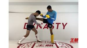 Image result for Southgate T`ai Tsung Chinese Boxing