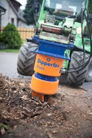 Image result for dipperfox tehron