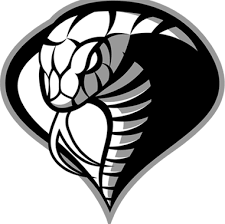 Image result for Chesterfield Cobras Volleyball Club