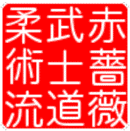 Image result for Red Rose Ju Jitsu Club