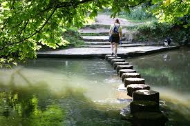 Image result for Box Hill SC