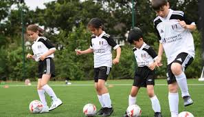 Image result for Thames Ditton Schools Fc