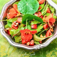 Attēlu rezultāti vaicājumam “Tropaeolum majus fruit”