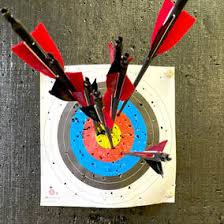 Image result for Osprey Archery Club
