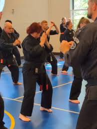 Image result for Exeter Shotokan Karate Club