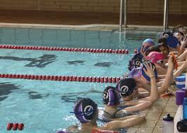 Image result for Grimsby Penguins Swimming Club