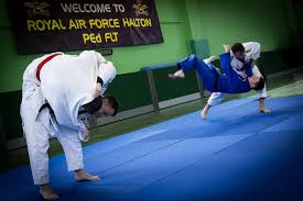 Image result for Halton Inclusive Judo Club