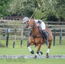 Image result for Cambridge and Newmarket Polo Club