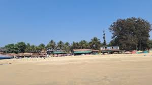Image result for patnem beach