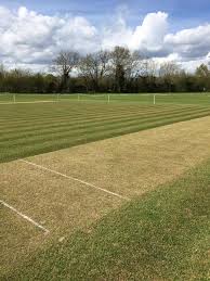 Image result for Cowdrey CC