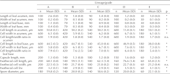 Attēlu rezultāti vaicājumam “Distichium capillaceum sporophyte”
