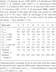 Attēlu rezultāti vaicājumam “Dipogon sp.”