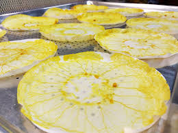 Attēlu rezultāti vaicājumam “Physarum gravidum”