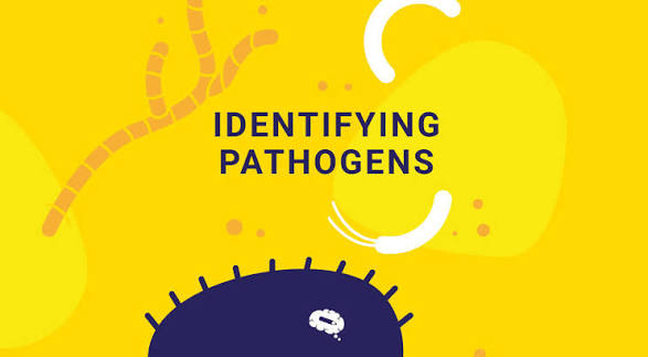 Explore the Different Methods for Identifying Pathogens