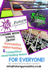 Image result for Croydon School Of Gymnastics