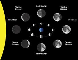 Image result for perigee