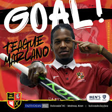 Image result for Holcombe Hockey Club