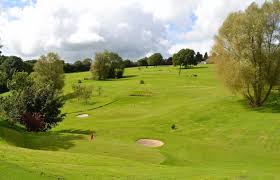 Image result for Chulmleigh & Mid Devon Cricket Club