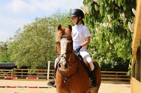 Image result for Weybridge Equestrian Centre