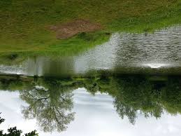 Image result for Warlingham & District Anglers` Society