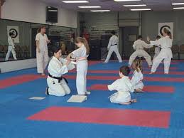 Image result for America's Best Karate Chandler