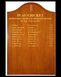 Image result for Luctonians Cricket Club