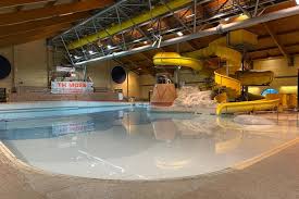 Image result for Kingsbridge Kingfishers Swimming Club