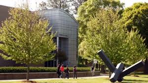 Image result for Nelson Cc