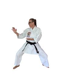 Image result for Everitt Karate Academy