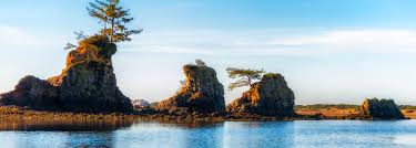 Image result for Lincoln City