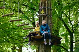 Image result for Go Ape! Moors Valley