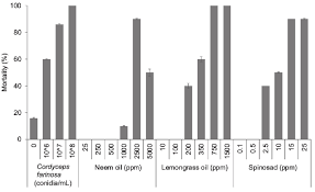 Attēlu rezultāti vaicājumam “Cordyceps farinosa”
