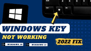 Image result for Windows key