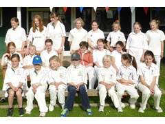 Image result for Thriplow Cricket Club