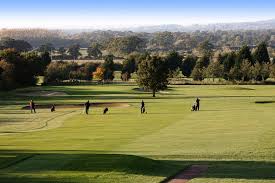 Image result for Billingbear Park Golf Club