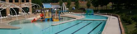 Image result for Chesterfield Swimming Club