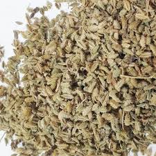 Attēlu rezultāti vaicājumam “Torilis japonica fruit”