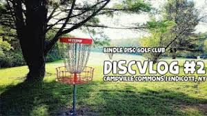 Image result for Ashville College Disc Golf Club